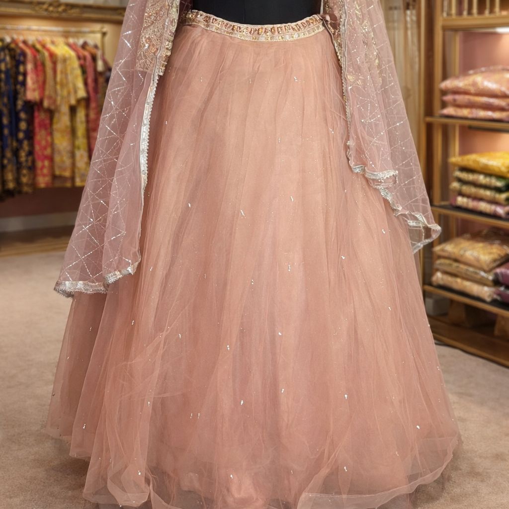 Blush Elegance Embroidered Lehenga Set